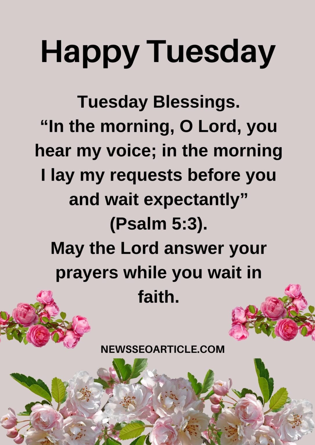 Best Tuesday Morning Blessings Images And Quotes News Seo Article