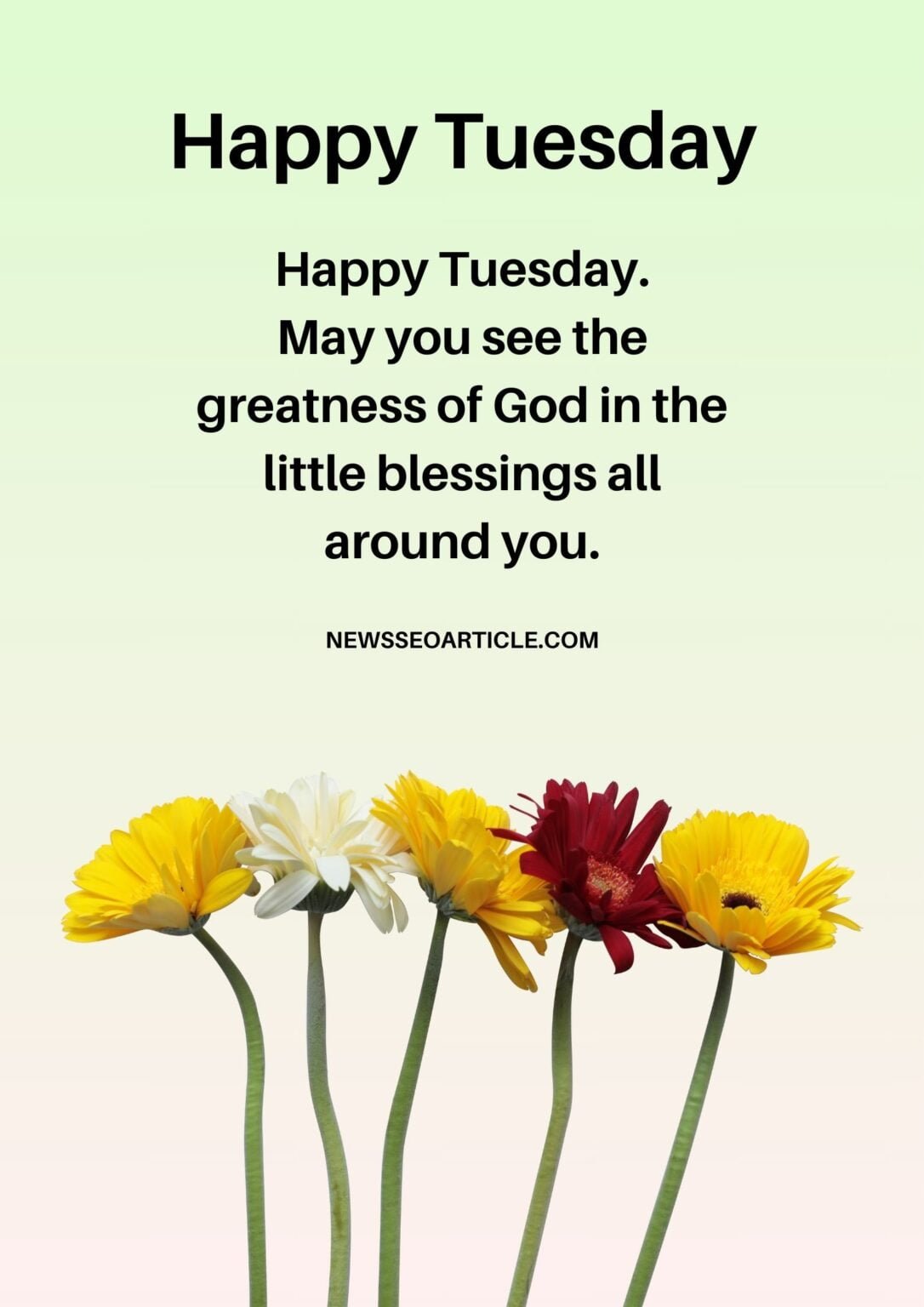 100 Best Tuesday Morning Blessings Images And Quotes | News Seo Article