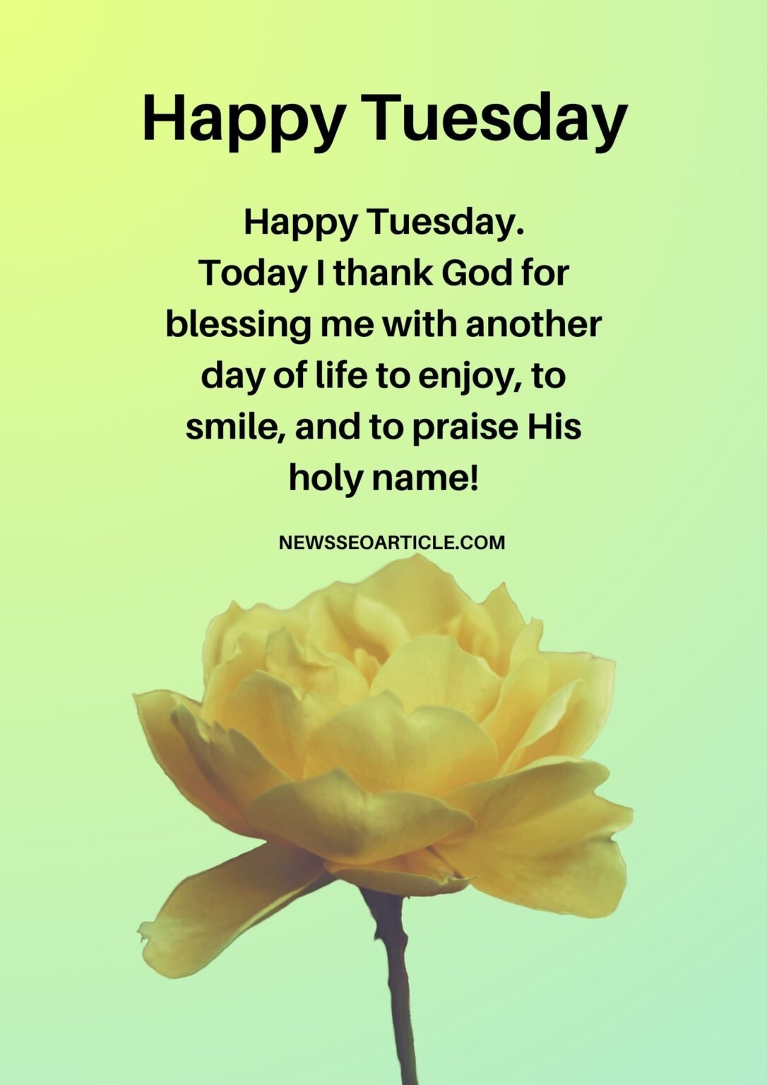 100 Best Tuesday Morning Blessings Images And Quotes | News Seo Article