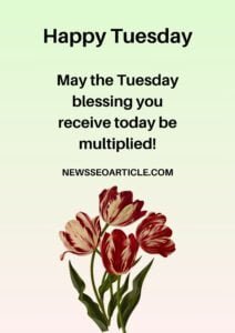 102 Best Tuesday Morning Blessings Images And Quotes | News Seo Article